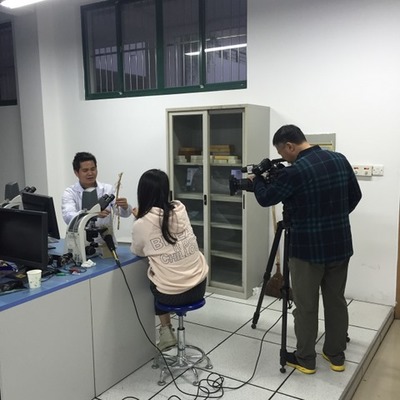 中国农业硅谷网 探访农业智能化快繁中心，解锁现代农业新篇章